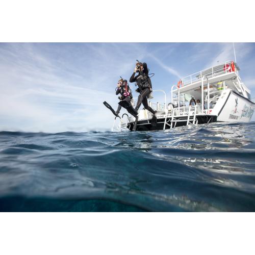 PADI Wreck Diver & Elearning