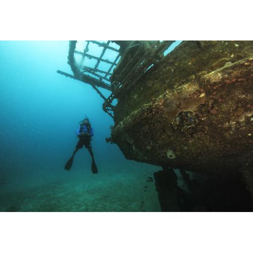 PADI Wreck Diver & Elearning