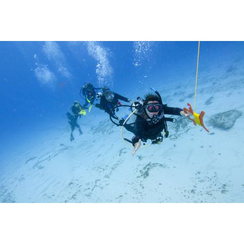 PADI Drift Diver with eLearning