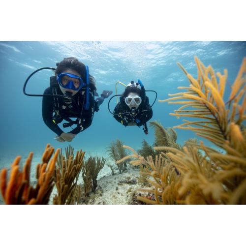 PADI Drift Diver with eLearning