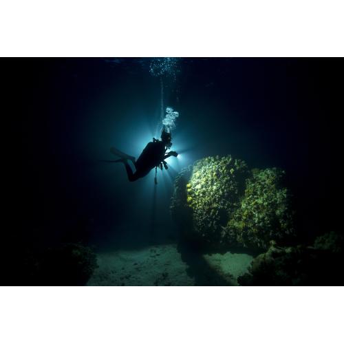 PADI Night Diver & eLearning