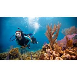 Private PADI Open Water Course