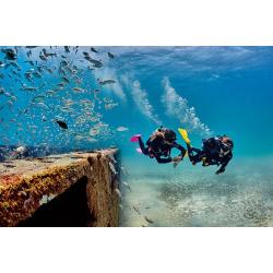 PADI Advanced Open Water Course & eLearning