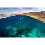 PADI Wreck Diver & Elearning