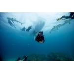 PADI Deep Diver Course & eLearning