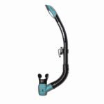 Spectra - Black/Turquoise