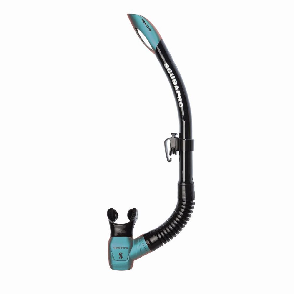 Spectra - Black/Turquoise