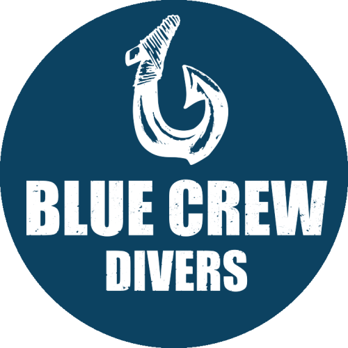 Application for Scuba Diving Management Diploma