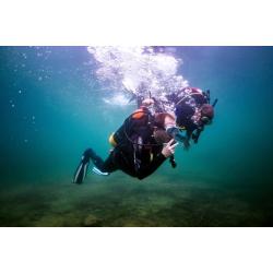 Guided Dive