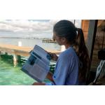 eLearning - Dive Theory
