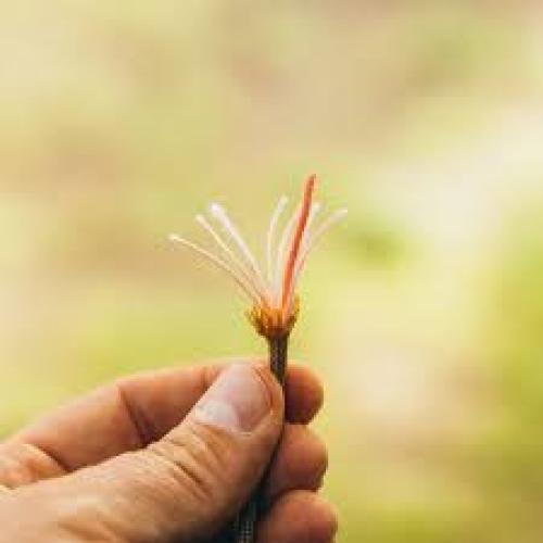 Firestrand 550 Paracord 50 ft - Coyote