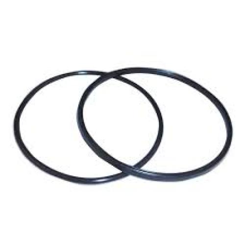 O Rings (2) for Digital Pro Flash