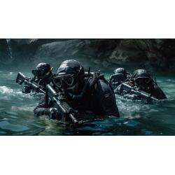 NAUI Master Scuba Diver Certification NES-VA013