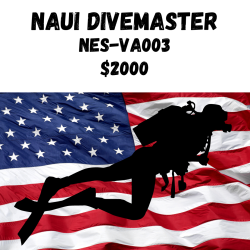 The NAUI Divemaster NES-VA003