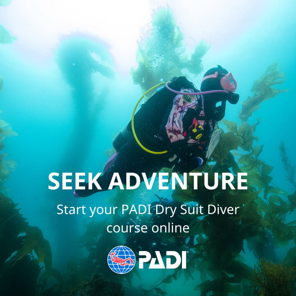 eLearning Dry Suit Diver