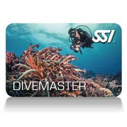 DIVEMASTER