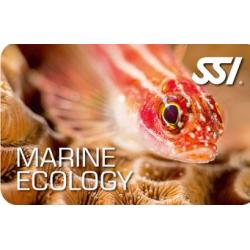 ECOLOGY SPECIALTIES BUNDLE