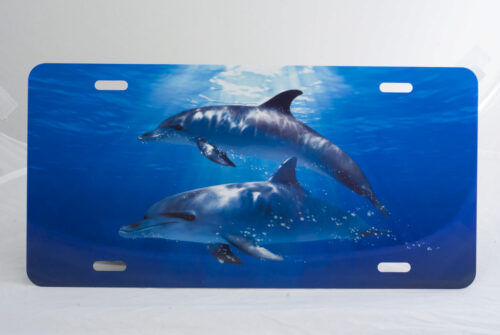 Marine Sports Air Brushed Dolphins Plate