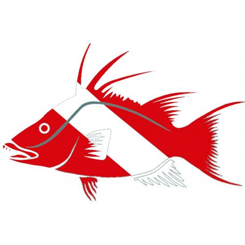 Innovative Scuba Die Cut Hogfish Decal