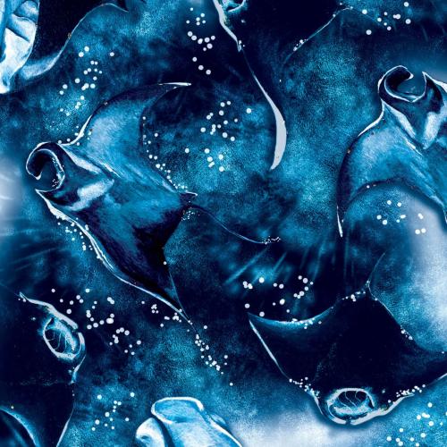 Eco-Friendly Manta Mayhem Dive Socks