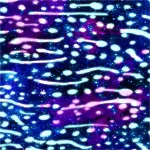 Eco-friendly Galaxy Whale Shark Dive Socks