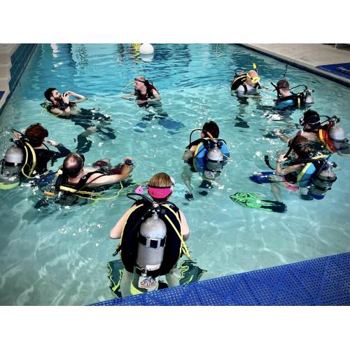 SDI Instructor Development Course