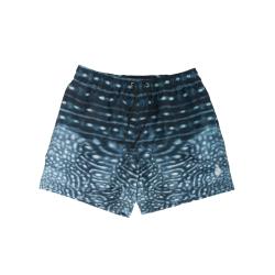 Best Day Ever Shorts