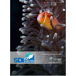 SDI Training Logbook