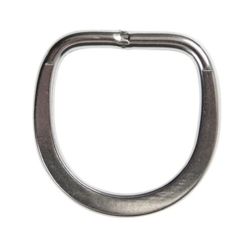 2.0" SS Flat Lifting D-Ring