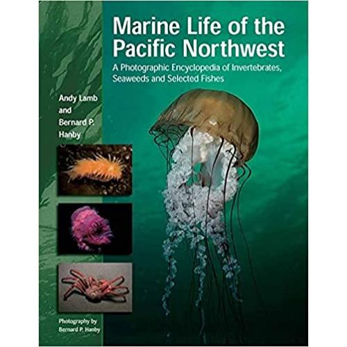 Marine Life of the Pacific NW