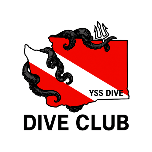 YSS Dive Scuba Club