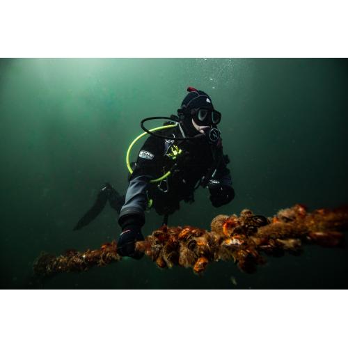 YSS Dive Scuba Club