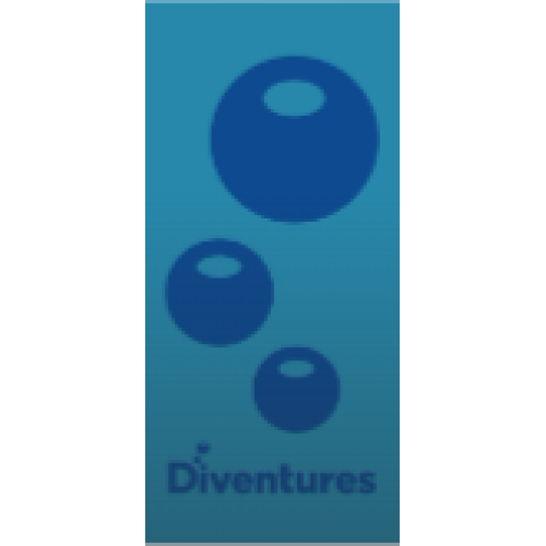 Diventures Velour Beach Towel