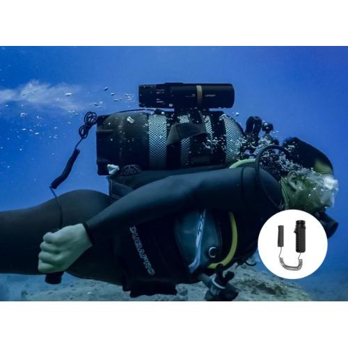 Dual Tank Mount