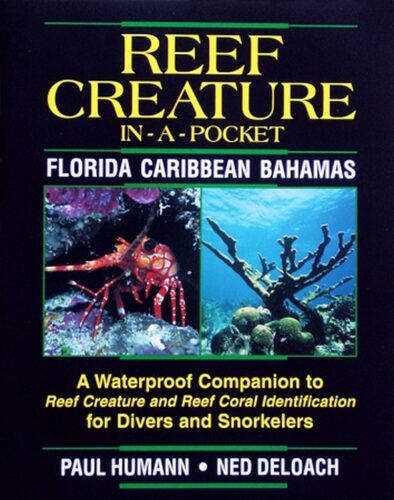 Reef Creature In A Pocket Reef Creature ID Book