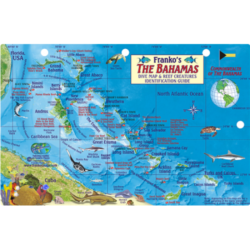 Bahamas Map & Fish ID Card