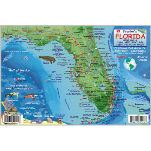 Florida State Map & Fish ID Card