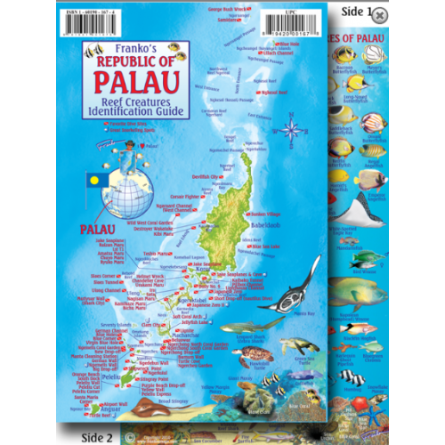 Palau Map & Fish ID Card