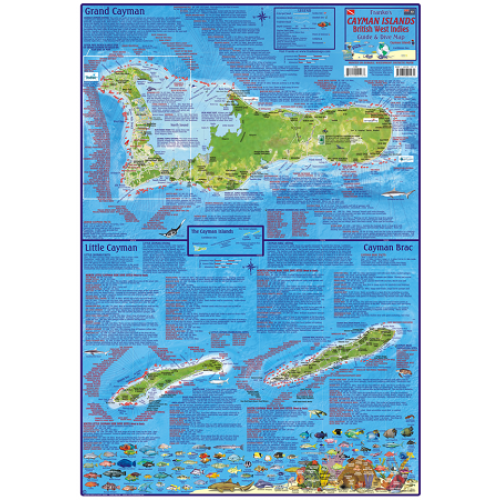 Cayman Island Folding Guide & Dive Map