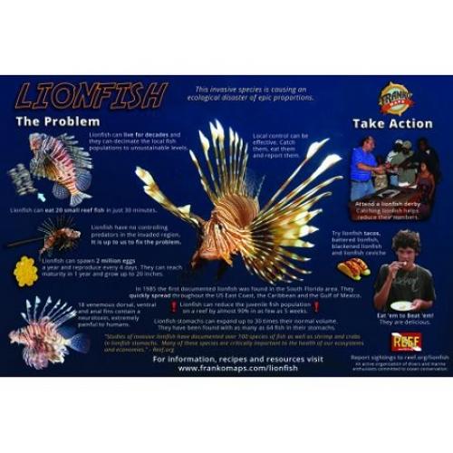 Lionfish Infestation Card