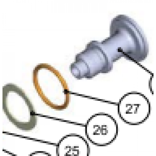 Thrust Washer - Inspire