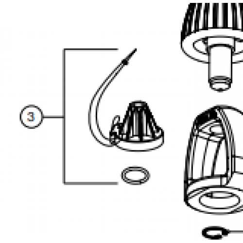 Dust Cap w/String & O-Ring
