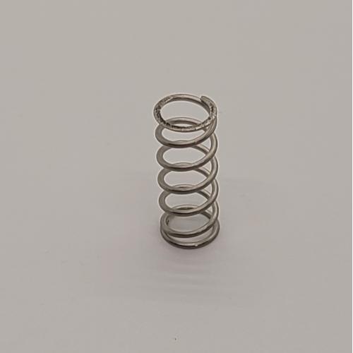 VALVE SPRING