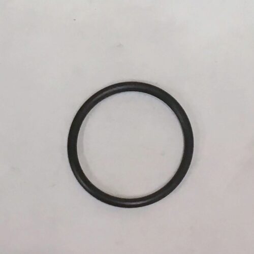 O-ring (underneath yoke)