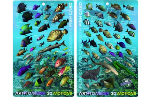 FLORIDA AND CARIBBEAN - 3D FISH CARD