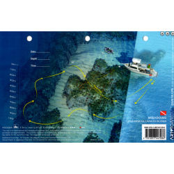 Marylin's Cut Meadows Little Cayman - 3D Dive Site Card