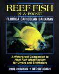 Fish In A Pocket Reef Fish ID Book