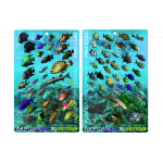 Florida & Caribbean 3D Motion Fish Card