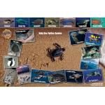 Sea Turtle Card