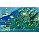 Western Sambo Key West - 3D Dive Site Card
